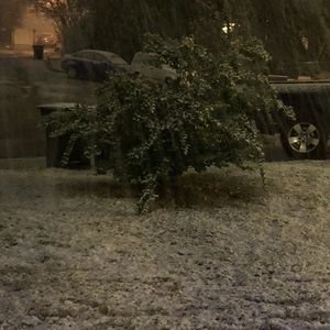 Meet your Posher, Kasey